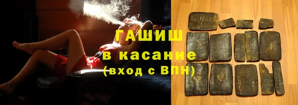 гидра Богородицк