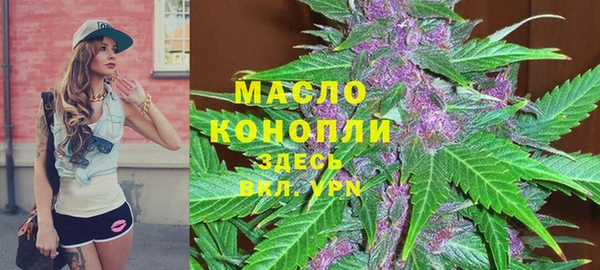 гидра Богородицк