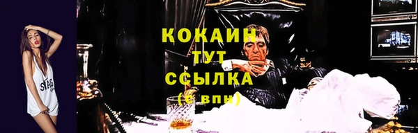 спиды Белокуриха