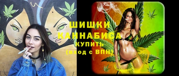 гидра Богородицк