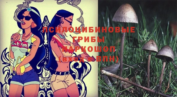 хмурый Краснотурьинск