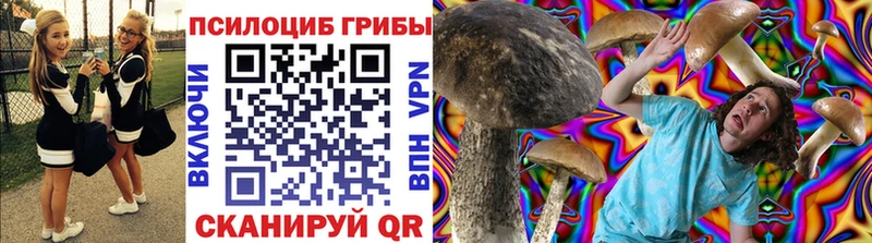 Галлюциногенные грибы Cubensis  Касимов 